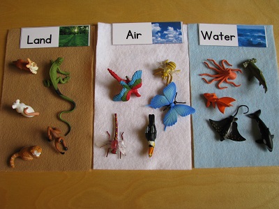 Land Air Water animal matching lesson